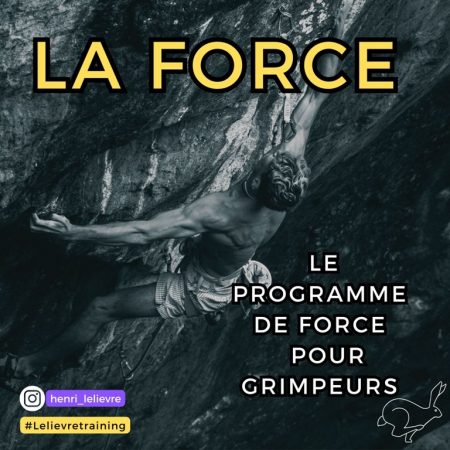 Programme La force